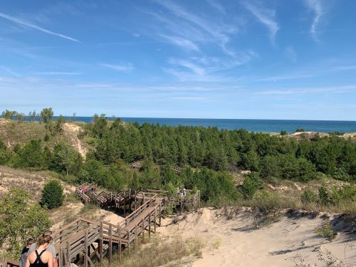 A sandy dune landscape with wooden walkways, lush green trees, and a view of the blue ocean under a clear sky.