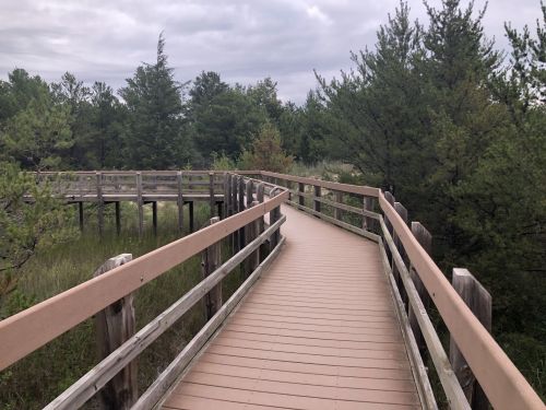 A wooden boardwalk winding through a lush green landscape under a cloudy sky.