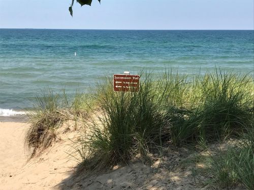 A sign for the Succession Trail near a sandy beach and grassy dunes, with a view of the calm blue lake.