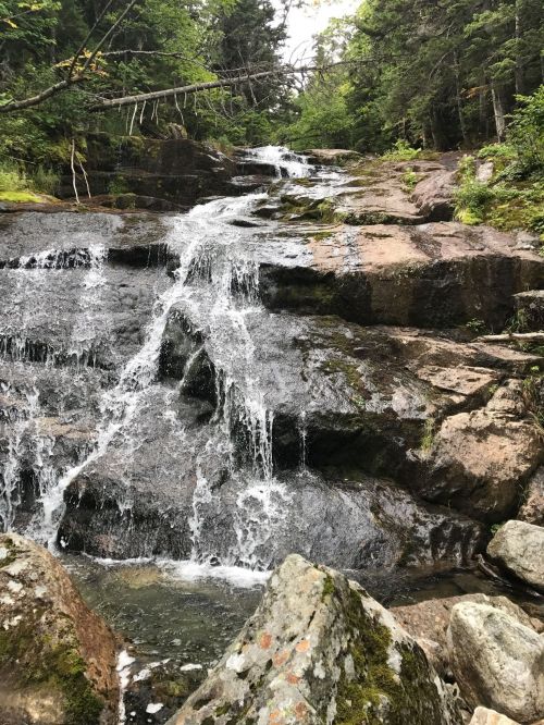 A serene waterfall cascading over rocky terrain, surrounded by lush green trees and foliage.