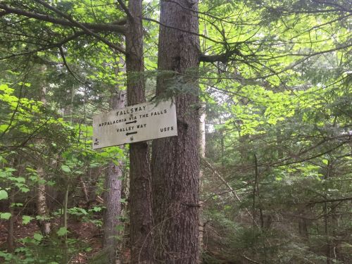 A wooden sign on a tree in a forest, indicating the Fallsway and Valley Way trails in the Appalachians.
