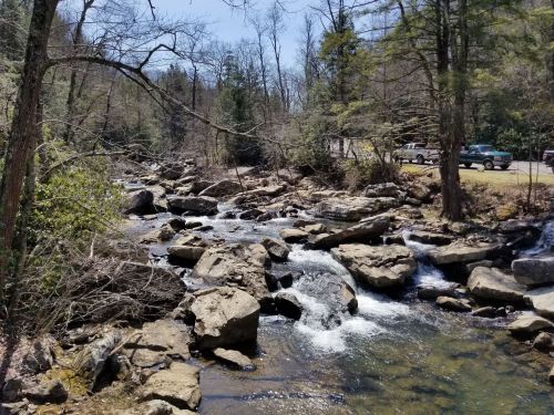 A serene stream flows over rocks, surrounded by trees, with parked cars visible in the background on a sunny day.