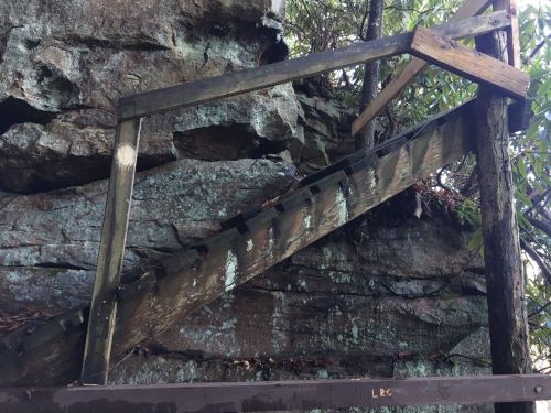Wooden stairs leading up a rocky hillside, surrounded by greenery and moss.
