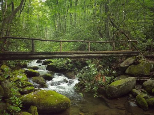A wooden bridge spans a rocky stream, surrounded by lush green trees and moss-covered stones in a serene forest setting.