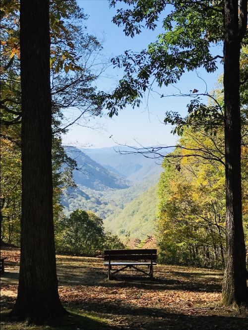 A serene view of a valley framed by trees, with a bench overlooking the colorful autumn landscape.