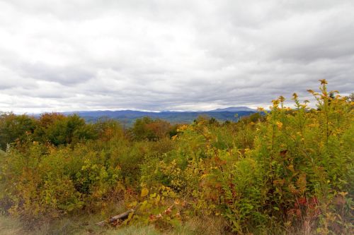 A scenic view of rolling hills and valleys, surrounded by autumn foliage under a cloudy sky.