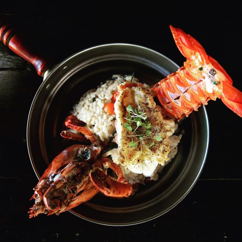 A gourmet dish featuring lobster and risotto, garnished with herbs in a black bowl.