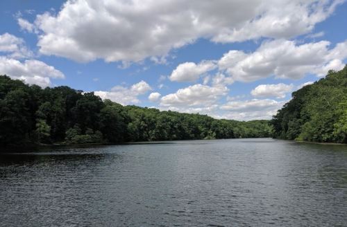 A serene river surrounded by lush green trees under a partly cloudy blue sky.