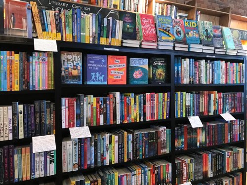 A colorful bookshelf filled with various books, including children's literature and literary criticism, in a cozy setting.