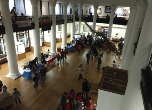 A spacious museum interior with tall columns, a dinosaur skeleton, and visitors engaging at tables.