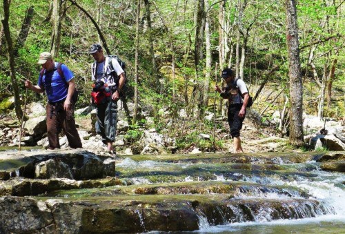 Three hikers wade through a rocky stream surrounded by lush green trees in a serene outdoor setting.