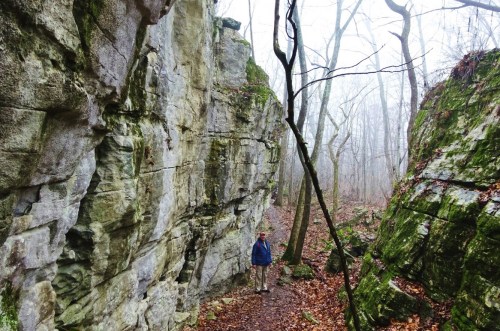A person stands between tall, moss-covered rock formations in a foggy forest. Fallen leaves cover the ground.