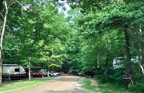 A tree-lined campground with RVs and cars parked along a gravel road, surrounded by lush green foliage.