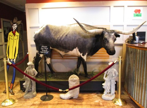 A mounted longhorn steer named "Dusty" beside a cowboy cutout and decorative statues, enclosed by a red rope barrier.