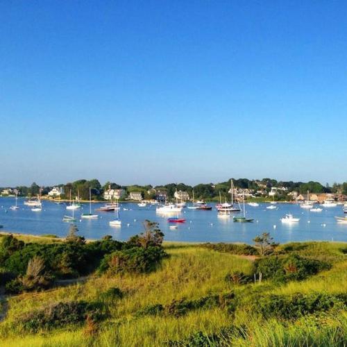 A serene coastal scene with boats anchored in a calm bay, surrounded by green grass and clear blue skies.
