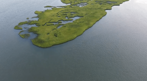 Aerial view of a lush green island surrounded by calm blue water, featuring patches of marshland and shallow areas.
