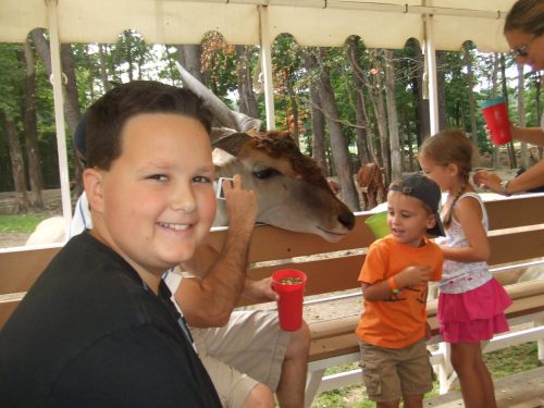 A boy smiles as a large animal approaches him, while other children and adults enjoy drinks nearby in a park setting.