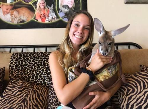 A smiling woman holds a kangaroo in a bag while sitting on a couch with animal-themed decor.