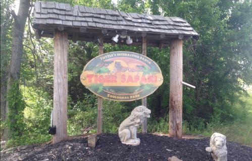 Sign for "Tiger Safari" zoological park with lion statues, surrounded by greenery.
