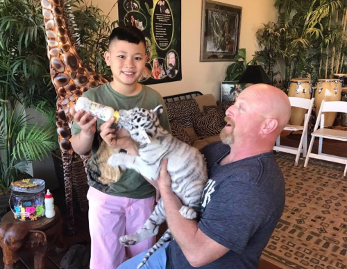 A boy feeds a bottle to a small tiger cub while a man holds the cub, surrounded by a tropical-themed room.