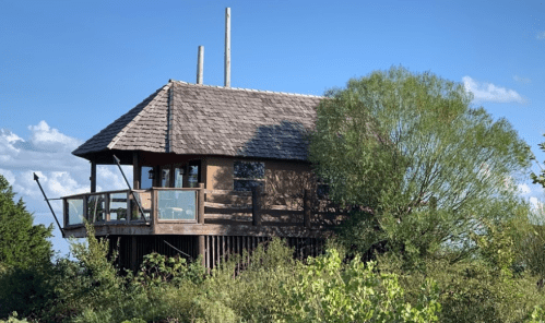 A rustic treehouse with a wooden deck, surrounded by greenery and under a clear blue sky.