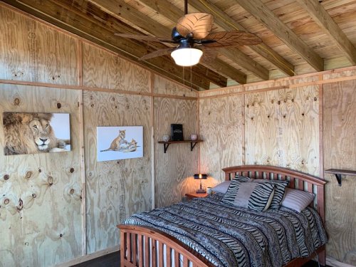 Cozy bedroom with wooden walls, a bed with zebra-patterned bedding, and lion-themed artwork on the walls.