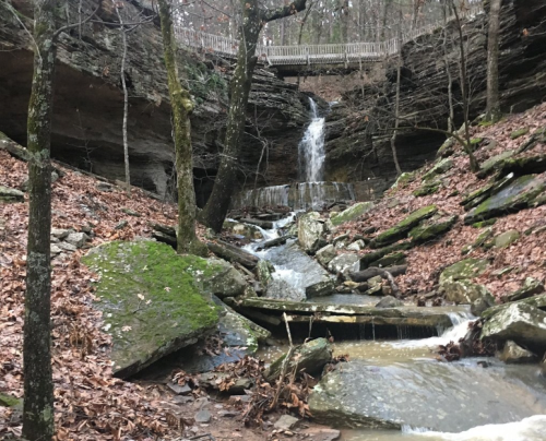 A serene forest scene featuring a small waterfall cascading over rocks, surrounded by trees and fallen leaves.