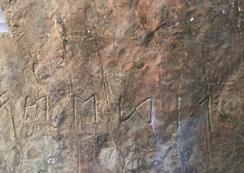 Ancient carvings on a rocky surface, featuring various symbols and markings.