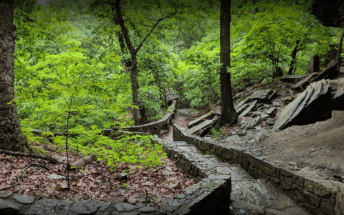 A winding stone path through a lush green forest with trees and rocks, surrounded by fallen leaves.