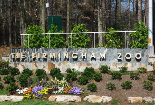 Sign for the Birmingham Zoo, featuring stone and greenery with colorful flowers in the foreground.