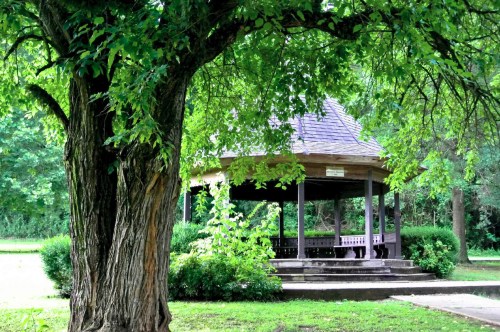 A wooden gazebo surrounded by lush greenery and a large tree in a peaceful park setting.
