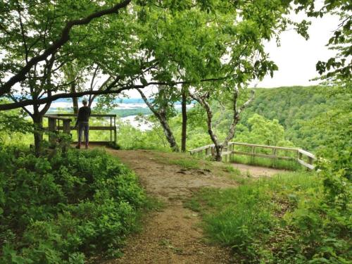 A person stands on a wooden overlook, surrounded by lush greenery, gazing at a scenic view of hills and water.