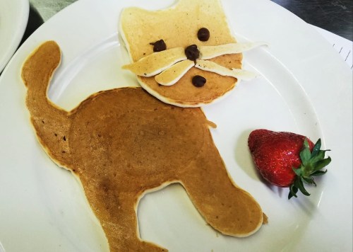 A pancake shaped like a cat, with a strawberry on the side, featuring chocolate chip eyes and a whipped cream mustache.