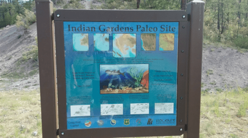 Sign for the Indian Gardens Paleo Site, featuring illustrations and information about prehistoric life and rock art.