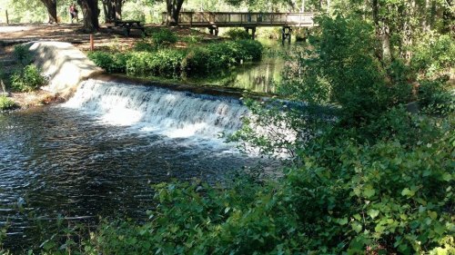 A serene scene of a small waterfall flowing into a calm river, surrounded by lush greenery and a wooden bridge in the background.