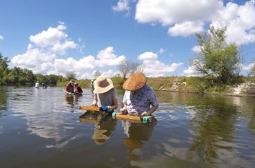 Two people in hats work on wooden boards in a calm river under a blue sky with fluffy clouds.