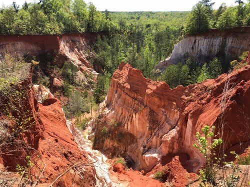 A scenic view of a deep, red canyon surrounded by lush green trees under a clear blue sky.