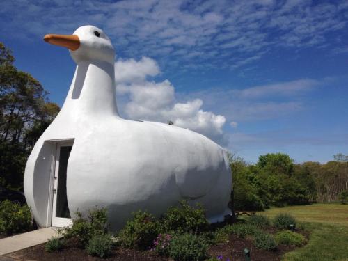 A large, whimsical white duck-shaped building with a bright orange beak, set against a blue sky and green landscape.