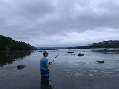 A person stands in shallow water, fishing with a rod under a cloudy sky, surrounded by rocks and trees in the distance.