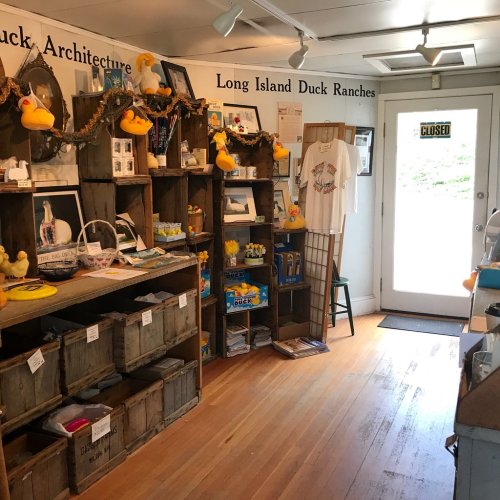 A cozy shop interior featuring wooden shelves with duck-themed merchandise and a closed sign on the door.