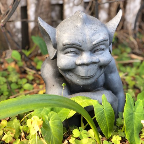A whimsical gray garden gnome with a mischievous smile, surrounded by green plants and foliage.