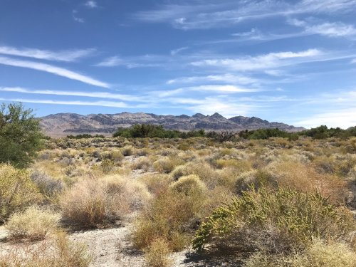 A desert landscape with sparse vegetation and mountains under a blue sky with wispy clouds.