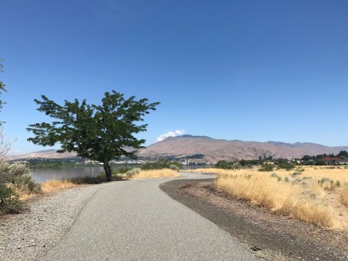A winding path beside a lake, with a tree and mountains in the background under a clear blue sky.