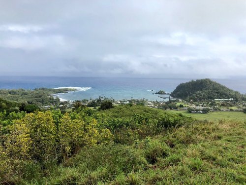 A scenic view of a coastal landscape with lush greenery, a bay, and a distant island under a cloudy sky.