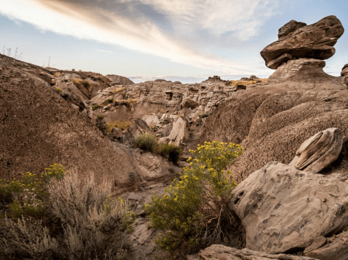 A rocky landscape with unique rock formations and yellow wildflowers under a cloudy sky.