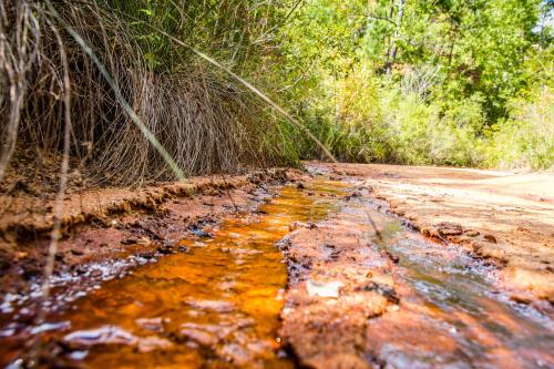 A narrow stream of water flows through a sandy path, surrounded by lush green vegetation and tall grasses.
