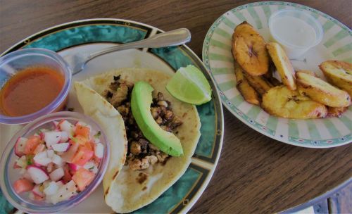 A plate with a taco filled with meat, avocado, lime, salsa, and a side of fried plantains.
