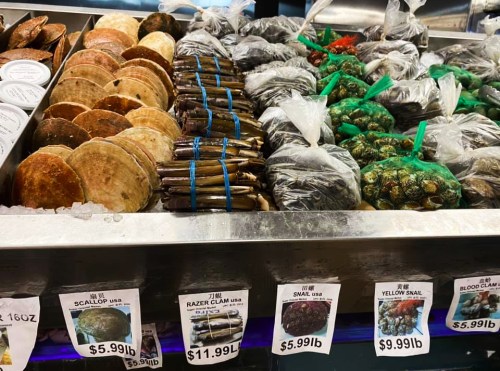 A seafood display featuring various shellfish, including scallops, razer clams, snails, and yellow clams, with price tags.