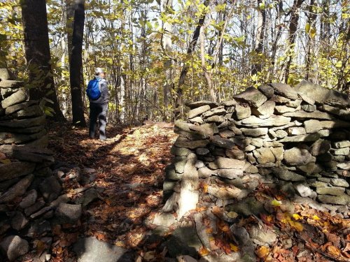 A person with a blue backpack stands on a forest trail surrounded by stone walls and autumn foliage.