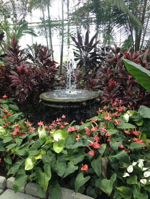 A serene fountain surrounded by lush green plants and colorful flowers in a tropical garden setting.